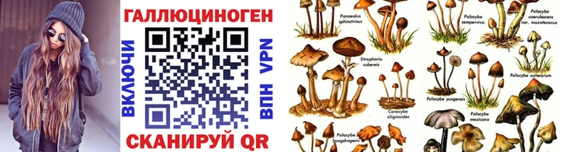 Псилоцибиновые грибы Cubensis  Орлов 